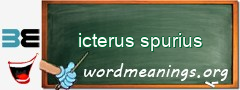 WordMeaning blackboard for icterus spurius
